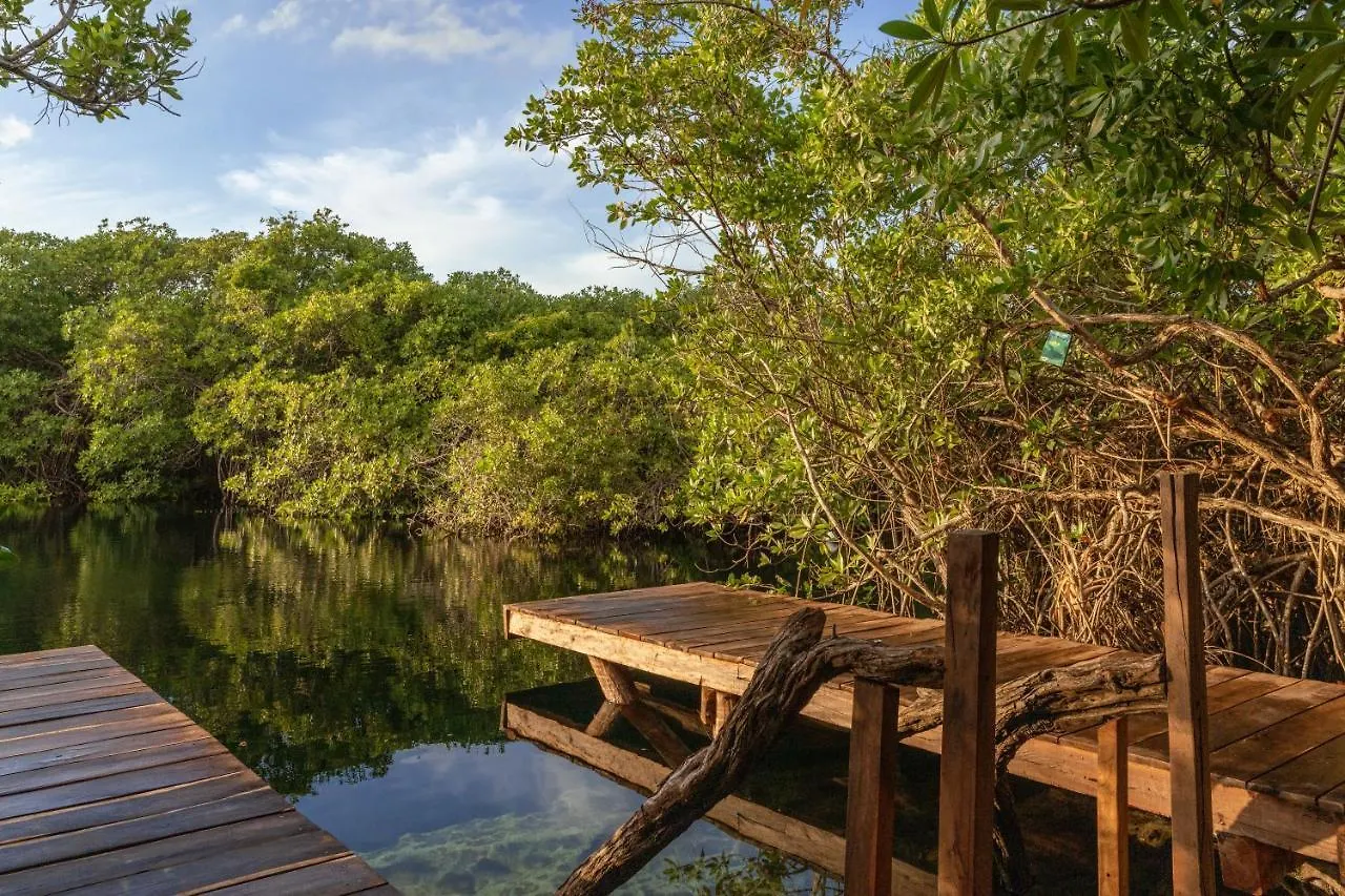 Yaxchen Tulum Cabanas & Cenote 山林小屋